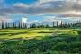 Kapalua Golf - The Plantation Course thumbnail